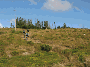 ciclistas descendo o monte dos eucaliptos