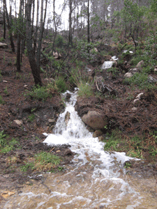 diversas cascatas devido  chuvada na serra de sintra