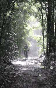 ciclistas no trilho maravilha com o sol a fazer brilhar a chuva