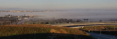 vista sobre campo reso coberto de nevoeiro