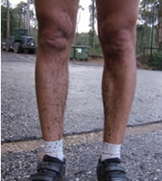 as minhas pernas com salpicos de lama