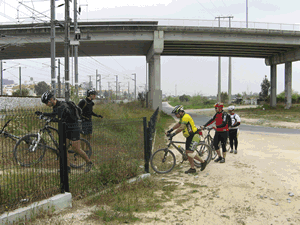 fotos diversas dos ciclistas a pedalar no trilho junto  linha do comboio na Azambuja