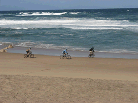 fotos diversa de ciclistas a pedalar na praia grande