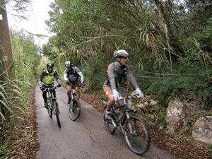 fotos diversas dos ciclistas nos trilhos da serra de sintra
