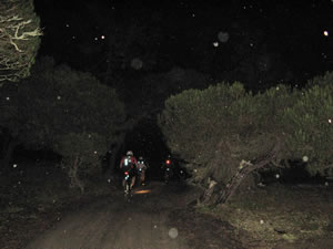 ciclistas a pedalar no escura na mata perto das azenhas do mar
