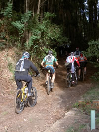 ciclistas a subirem um trilho na serra de sintra